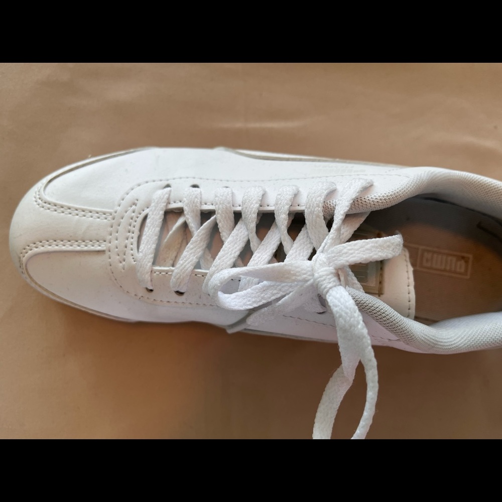 White Puma